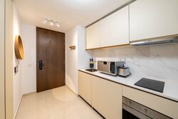 Kopar At Newton (D9), Apartment #423317601